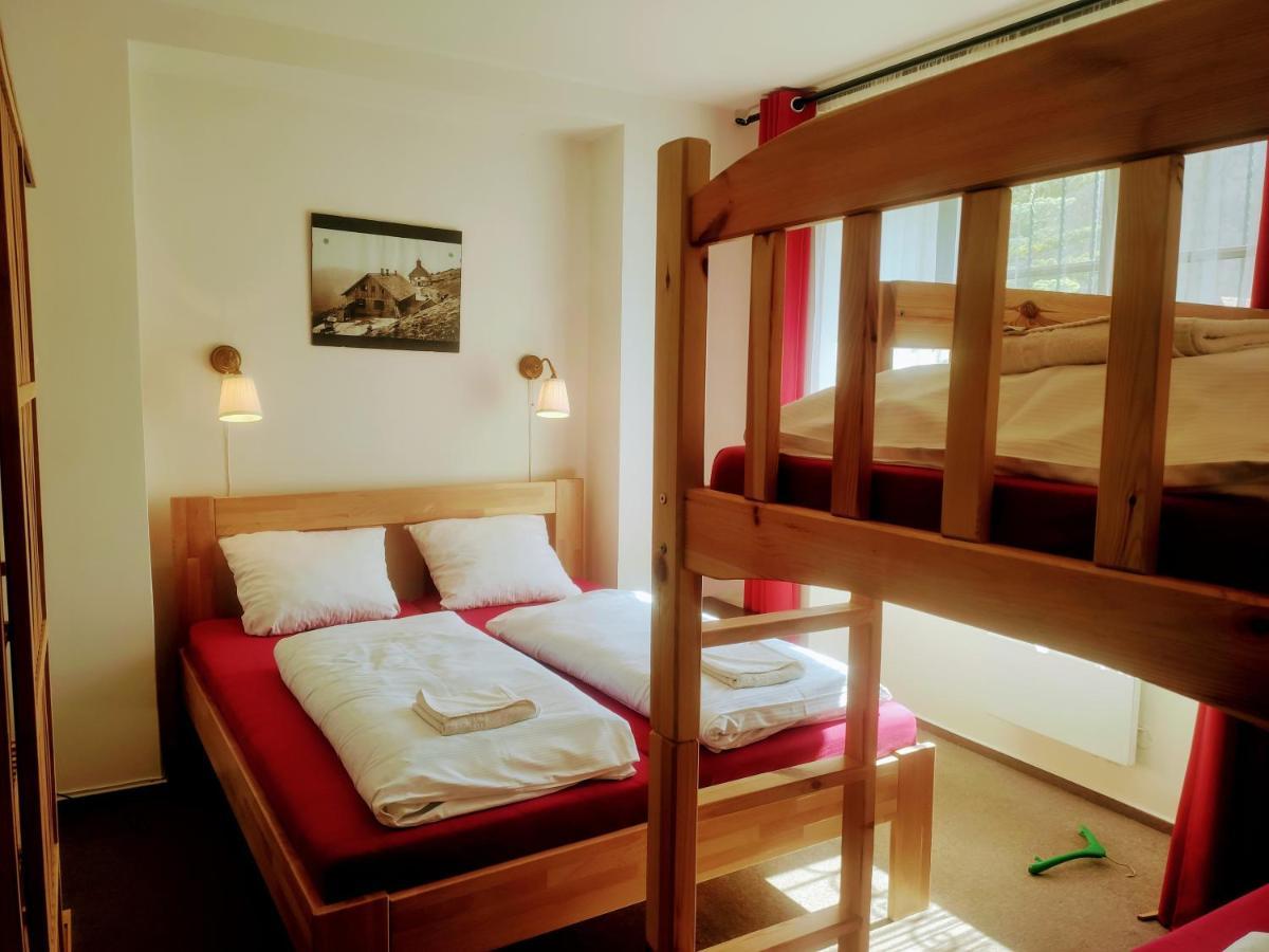 Loučná nad Desnou Apartmanovy Dum Pastak מראה חיצוני תמונה