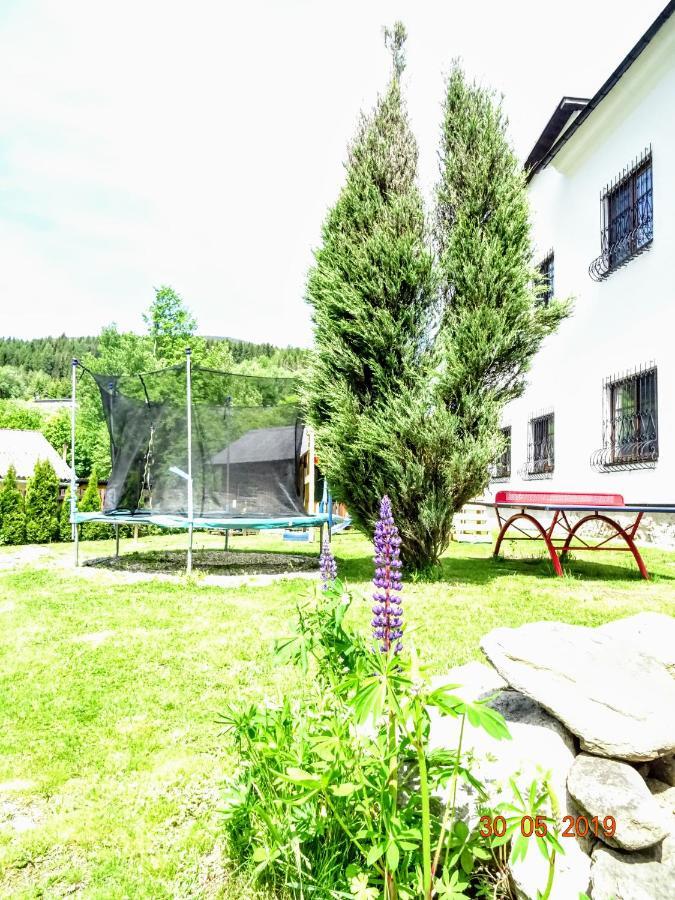Loučná nad Desnou Apartmanovy Dum Pastak מראה חיצוני תמונה